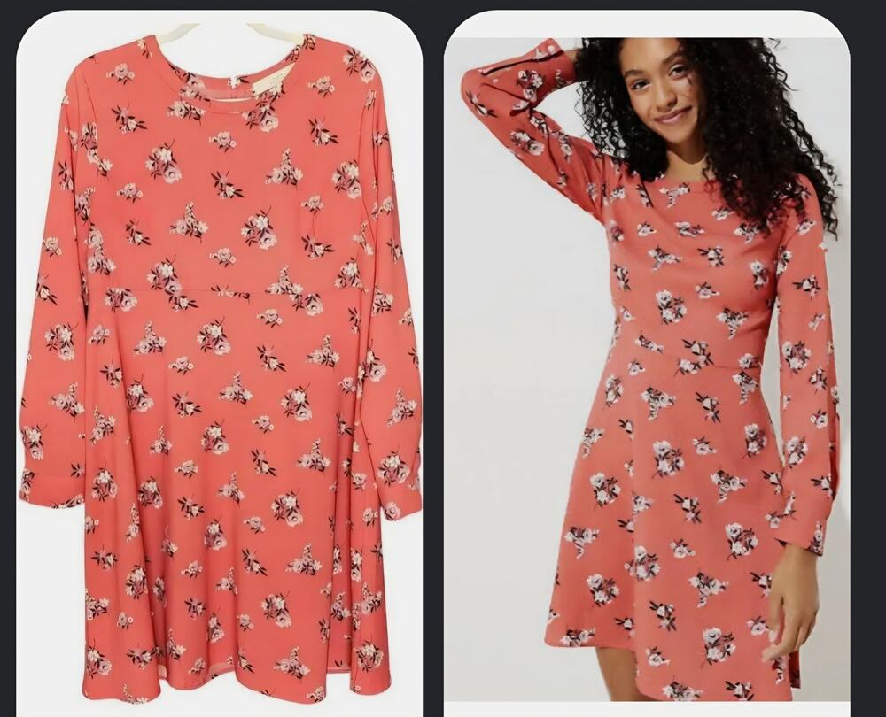 Whimsigoth Loft Floral Long Sleeve Dress Coral Pink Rose Print A-Line plus Sz 16